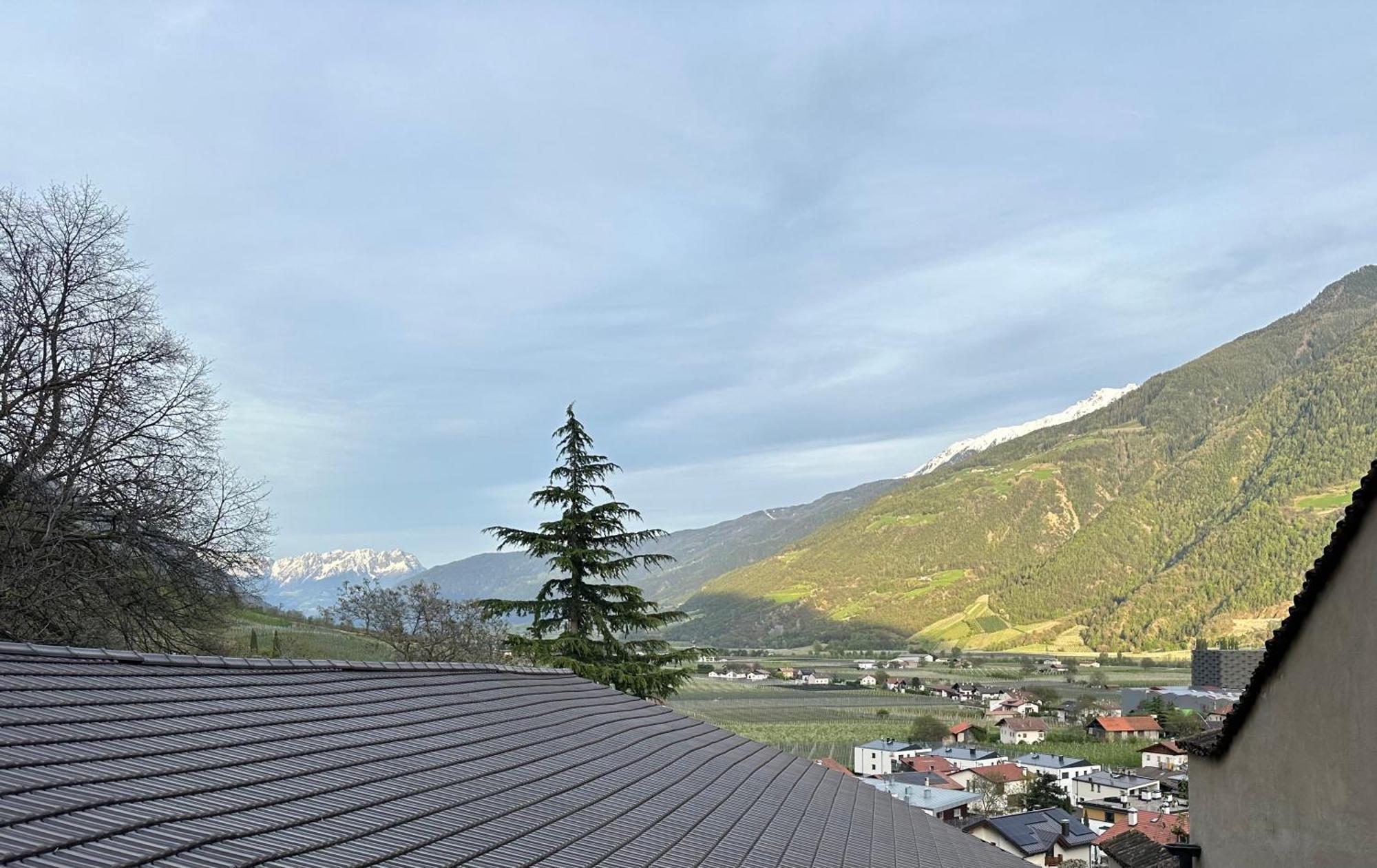 Weingut Koefelgut - Turris Vini Apartment กาสเตลเบลโล ภายนอก รูปภาพ